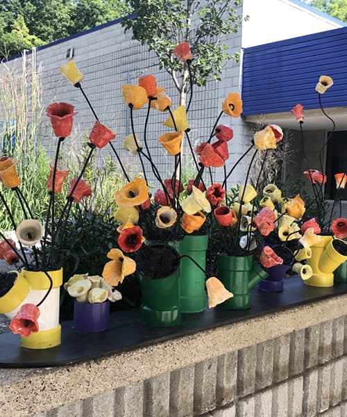 Tulip Garden